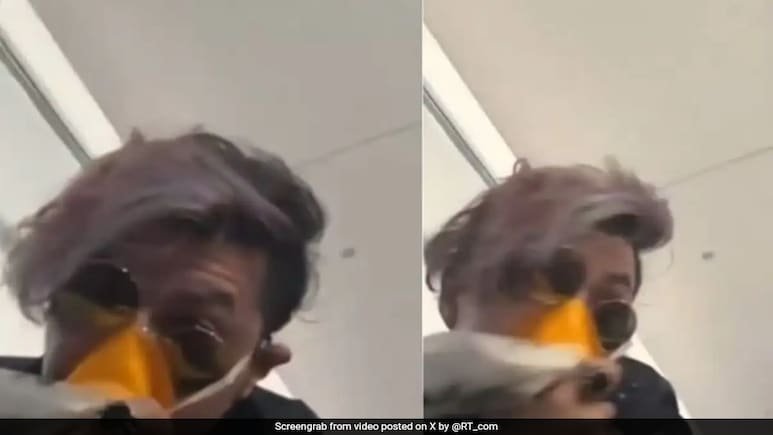 Video: Paris-Bound Flight Makes Emergency Landing After Bird Hits Plane Nose