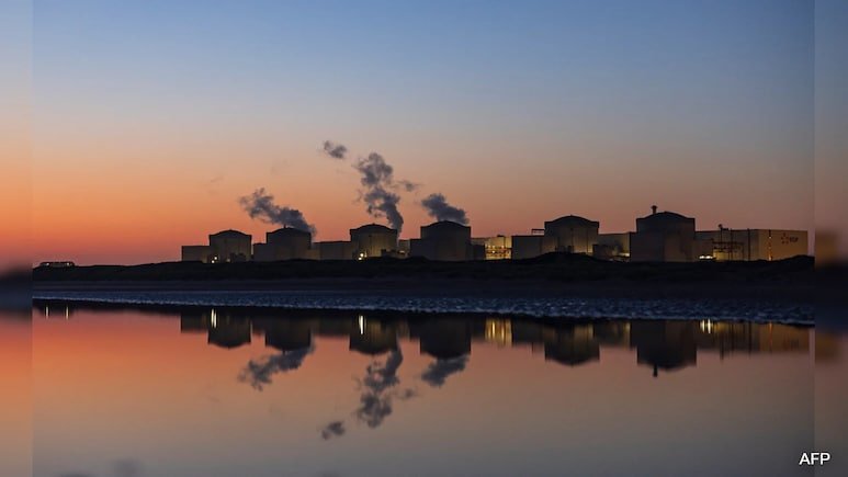 Jellyfish Force French Nuclear Plant Shutdown